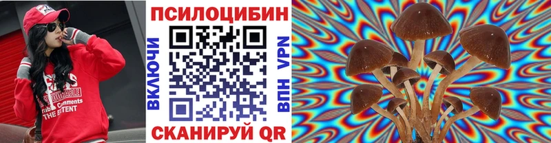 Псилоцибиновые грибы мицелий  сайты даркнета какой сайт  Шатура 